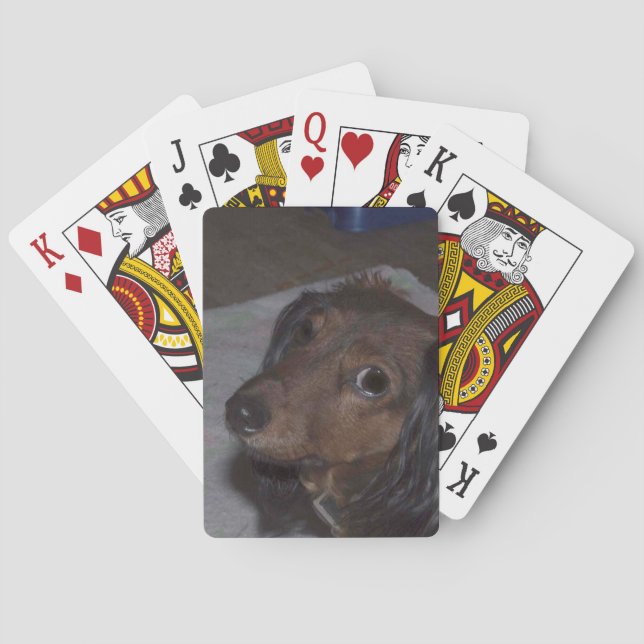 Dachshund-uppspelningskort Casinokort (Baksidan)
