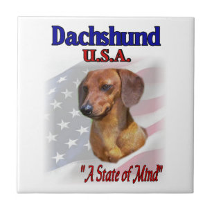 Dachshund USA Kakelplatta