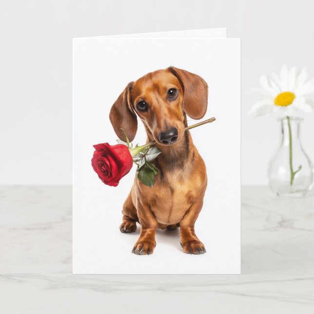 Dachshund Valentine’s Day Puppy Love with a Rose Kort (Liten växt)