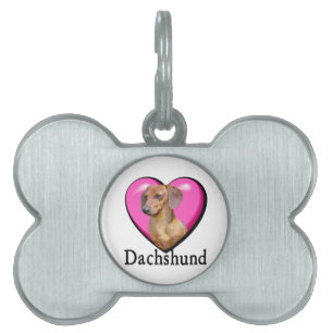 Dachshund Valentines day ID-bricka Husdjur