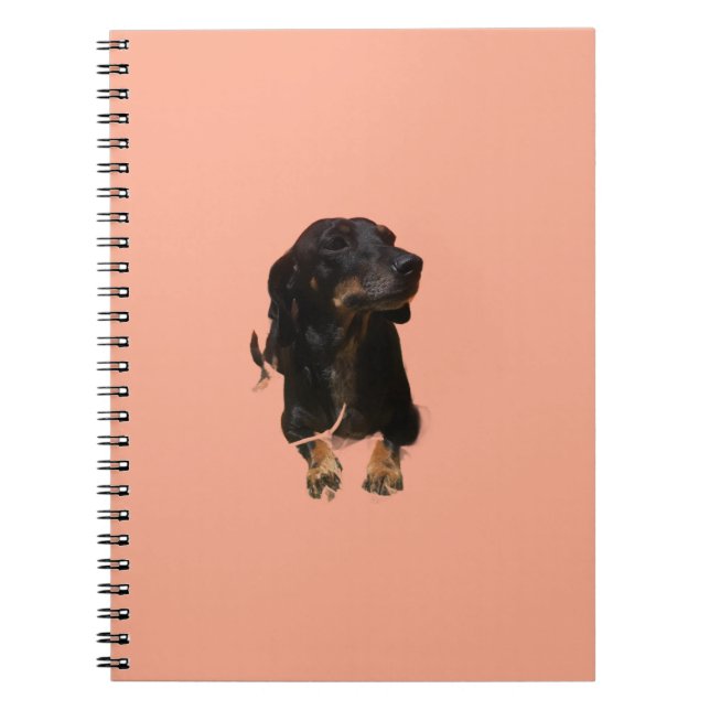 Dachshund-valp Anteckningsbok (Framsidan)