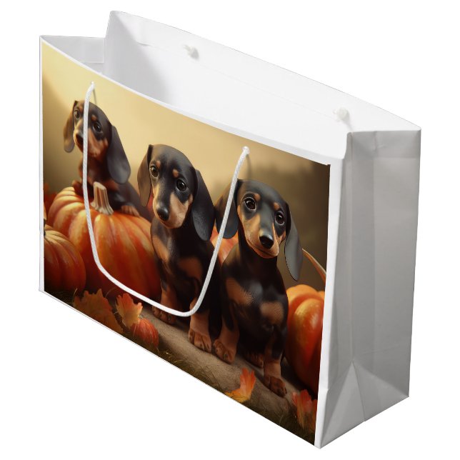 Dachshund-valp Höstglädje Pumpa (Framsidan Vinklad)