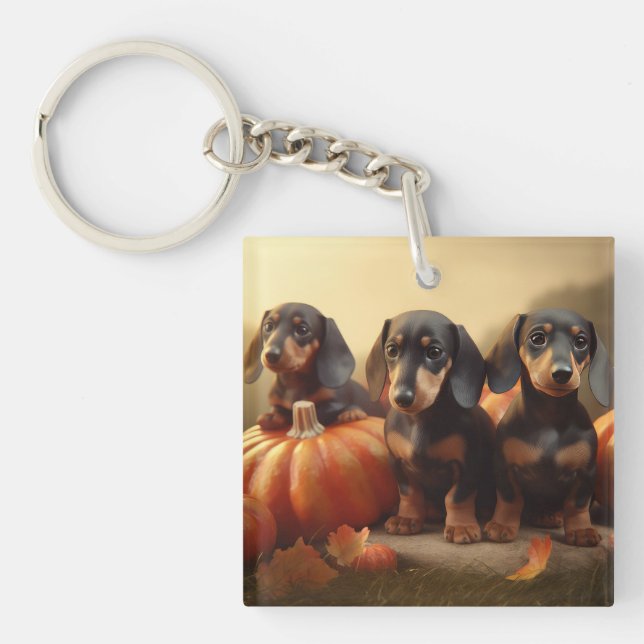 Dachshund-valp Höstglädje Pumpa (Framsidan)