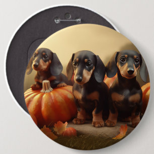 Dachshund Valp Höstglädje Pumpa Knapp
