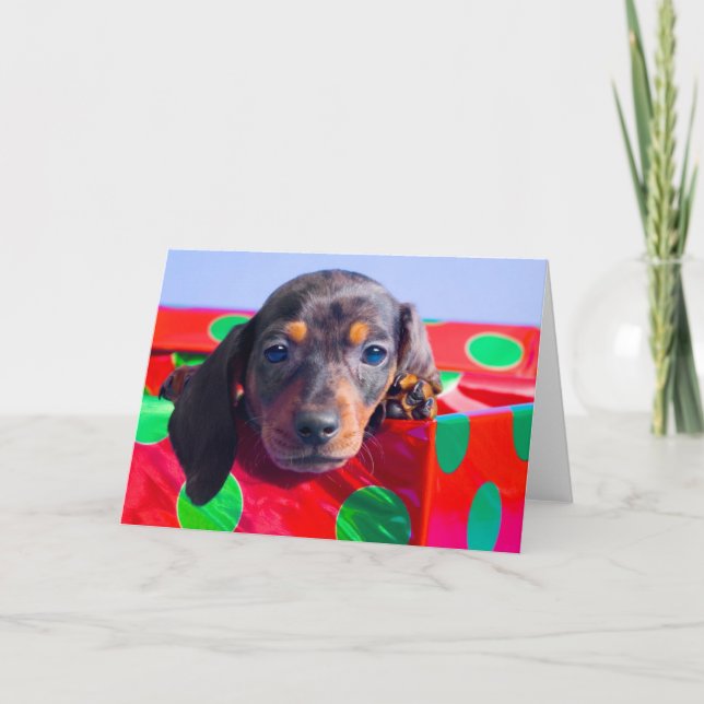 Dachshund-valp i presentlåda helgkort (Framsida)