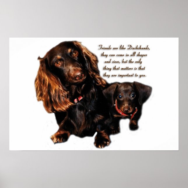 Dachshund Vänskap Poster (Framsidan)