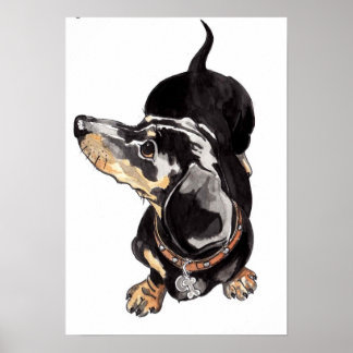 Dachshund vattenfärgsmålning av Annabel Tarrant Poster