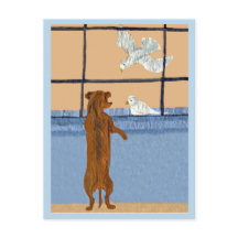Dachshund vid fönster tittar på vita duvor