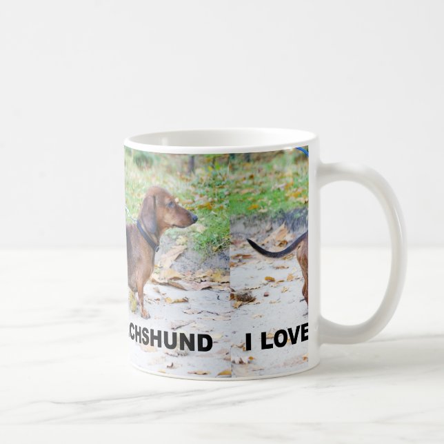 Dachshund-vild-galning kärlek w pic kaffemugg (Höger)