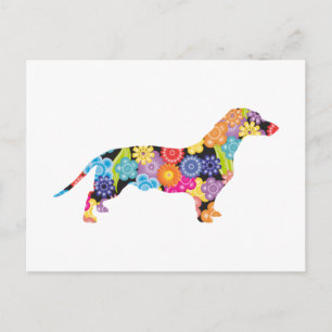 Dachshund Vykort