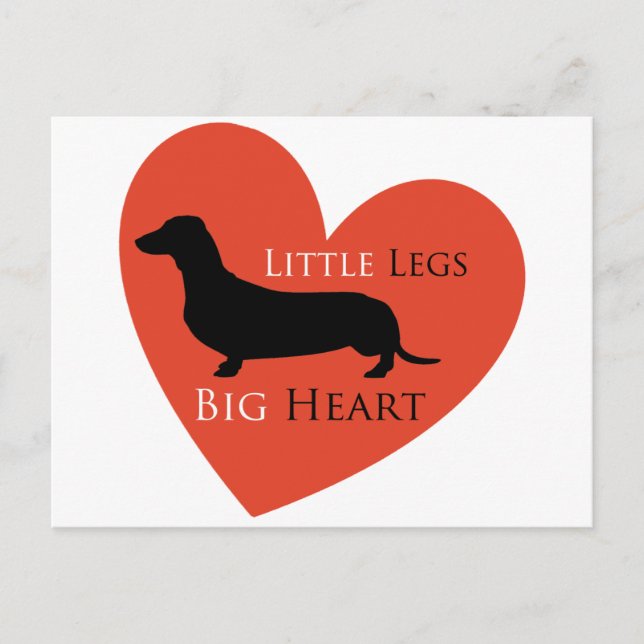 Dachshund Vykort (Framsida)