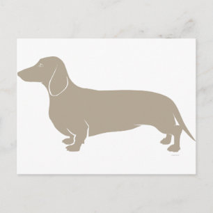 Dachshund Vykort