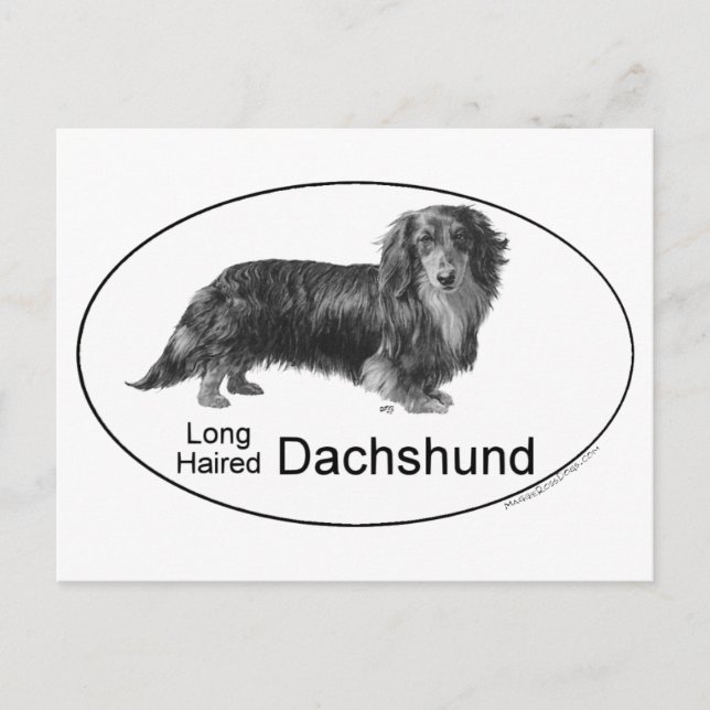 Dachshund Vykort (Framsida)