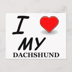 dachshund vykort