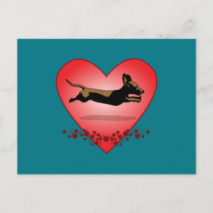 Dachshund-vykort Vykort
