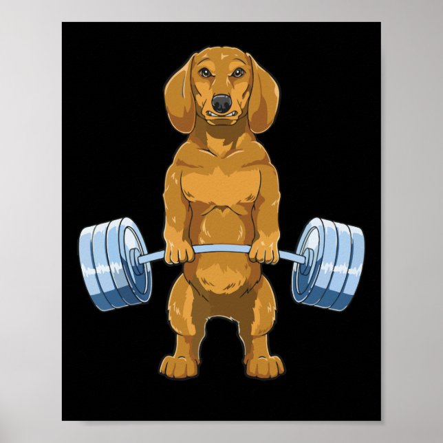 Dachshund Weightlift Deadlift Fitness Gym Poster (Framsidan)