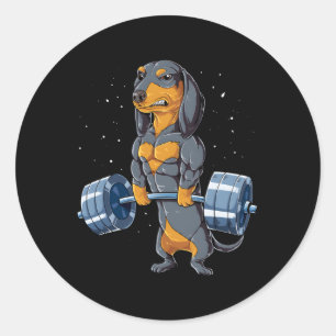 Dachshund Weightlift Deadlift Fitness Gym Runt Klistermärke