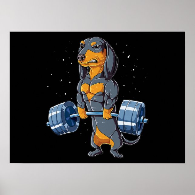 Dachshund Weightlift Fitness Gym Poster (Framsidan)