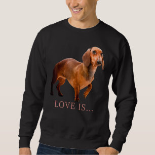 Dachshund Weiner Hund Mamma Pappa Kärlek Doxie Pup Lång Ärmad Tröja