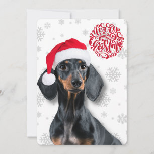 Dachshund Wiener Dog Husdjurs Snöflinga Jul Julkort
