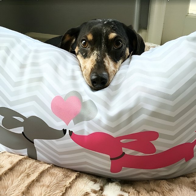 Dachshund Wiener Hund Kärlek & Hearts Rosa & Grått Lumbarkudde (Dachshunds in love pillow)