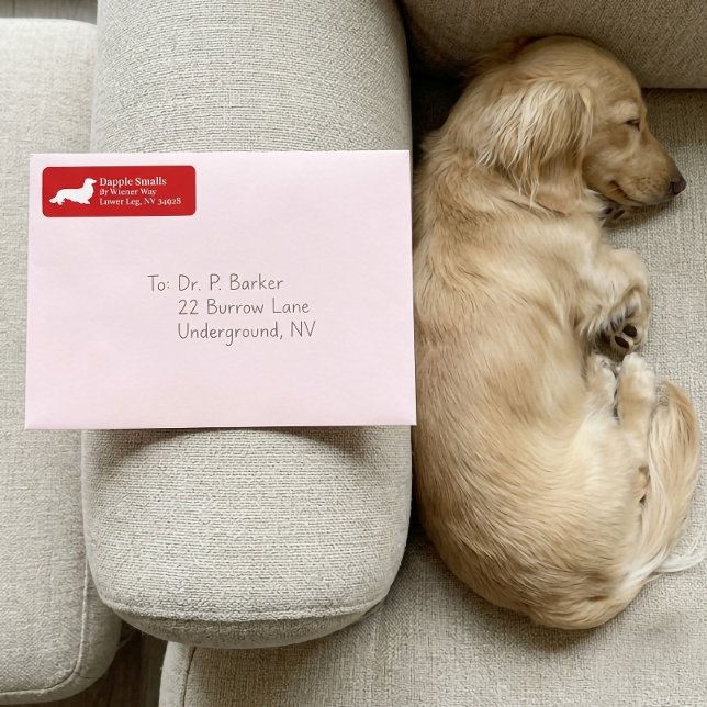 Dachshund Wiener Hund | Röd Returadress Etikett (Dachshund Wiener Dog | Red Return Address Label)