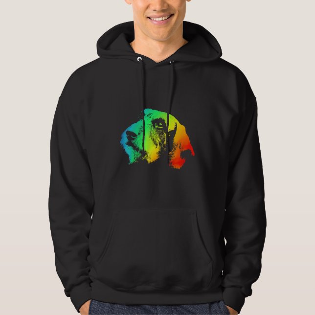 Dachshund Wire Hair Colorful Rainbow Retro Hoodie (Framsida)