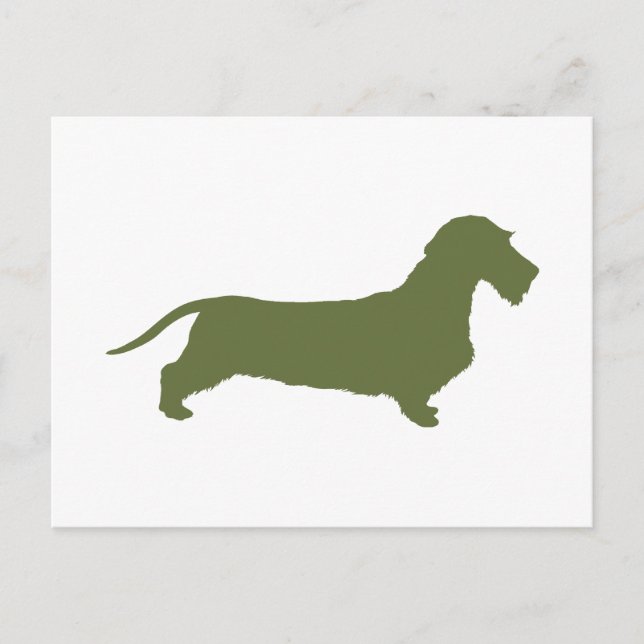 Dachshund Wirehred Vykort (Framsida)