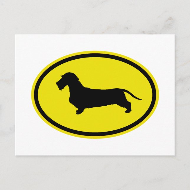 Dachshund Wirehred Vykort (Framsida)