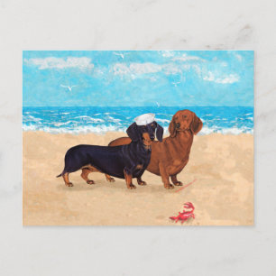 Dachshundar på stranden vykort