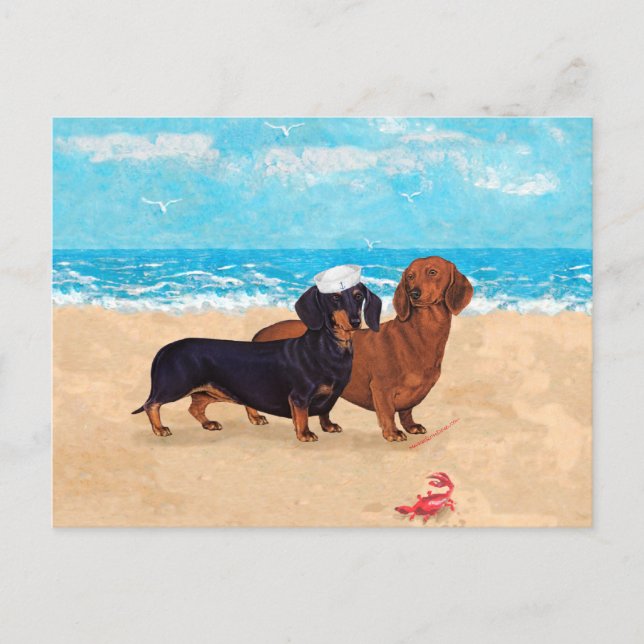 Dachshundar på stranden vykort (Framsida)