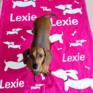 Dachshundfilt rosa personlig Doxie-gåva Fleecefilt