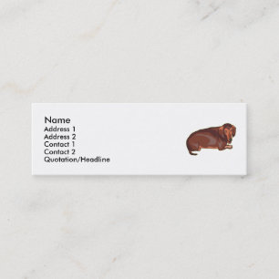 Dachshundnt Mini Visitkort