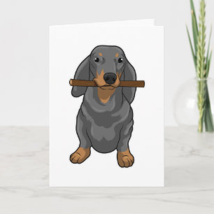 Dachshundpinne Kort