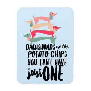 Dachshunds är som Potatischips 3"x4"Foto Magnet