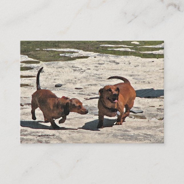 Dachshunds ATC Visitkort (Framsida)