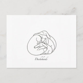 Dachshunds 'Curled Together'.jpg Vykort