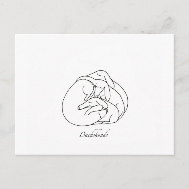 Dachshunds 'Curled Together'.jpg Vykort (Framsida)