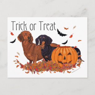 Dachshunds Halloween Vykort