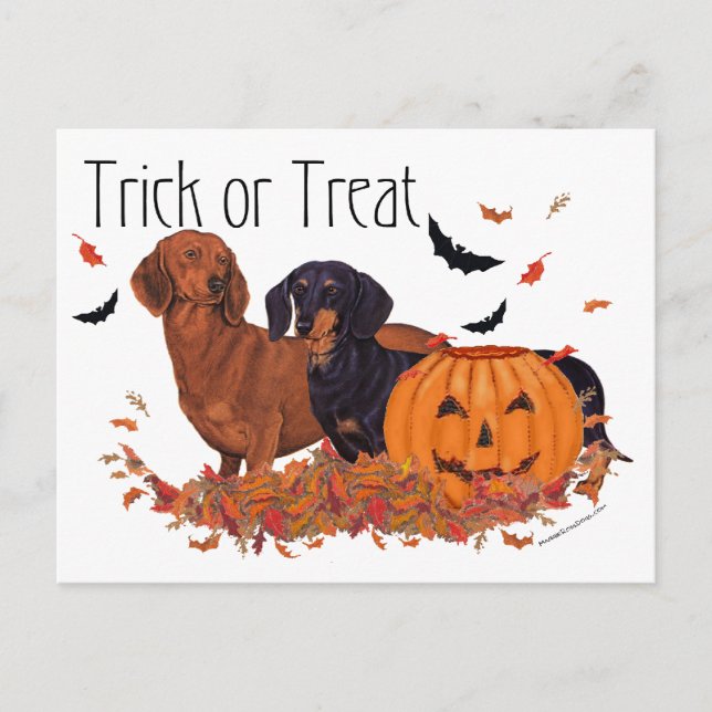 Dachshunds Halloween Vykort (Framsida)