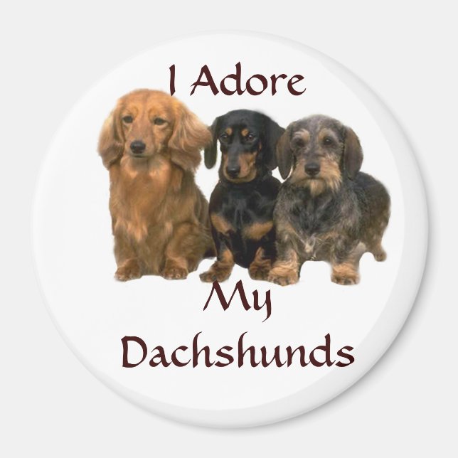 Dachshunds I Adore Magnet (Framsidan)