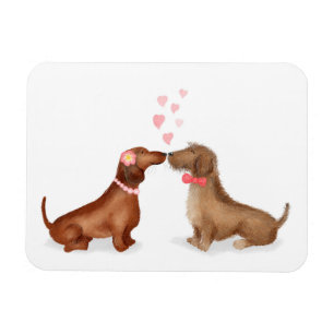 Dachshunds i kärlek kylmagnet (flicka/pojke) magnet