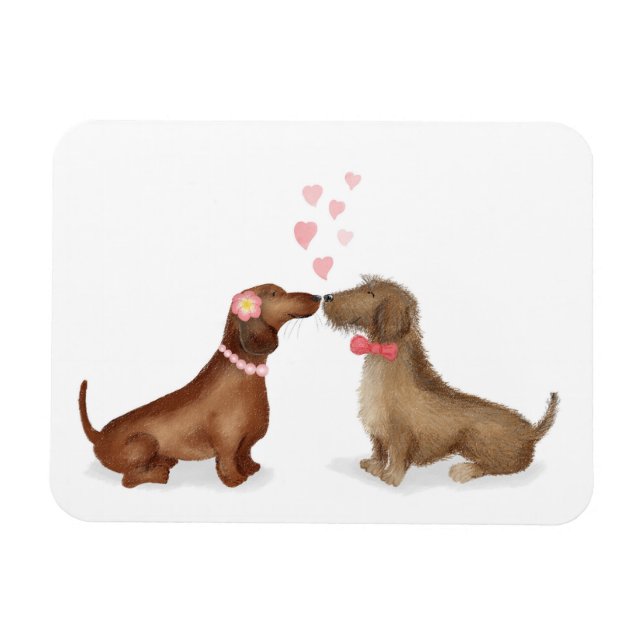 Dachshunds i kärlek kylmagnet (flicka/pojke) magnet (Horisontell)