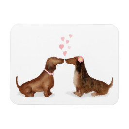Dachshunds i kärlek kylmagnet (två flickor) magnet