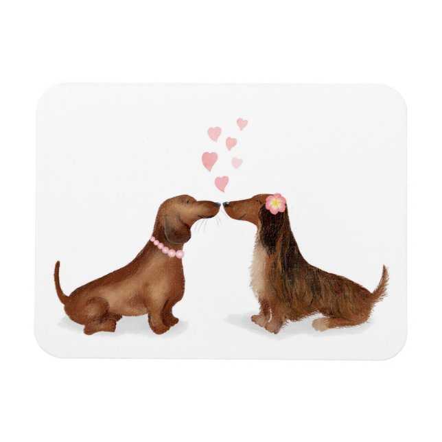 Dachshunds i kärlek kylmagnet (två flickor) magnet (Horisontell)