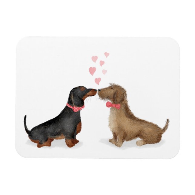 Dachshunds i kärlek kylmagnet (två pojkar) magnet (Horisontell)