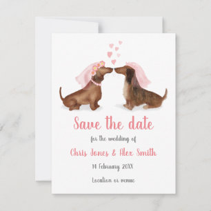 Dachshunds i kärlek sparar datumkortet (flicka/fli spara datumet