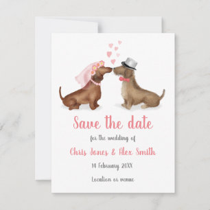 Dachshunds i kärlek sparar datumkortet (flicka/poj spara datumet