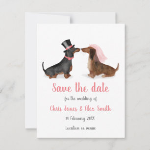 Dachshunds i kärlek sparar datumkortet (pojke/flic spara datumet
