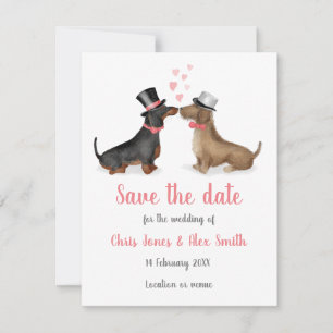 Dachshunds i kärlek sparar datumkortet (pojke/pojk spara datumet
